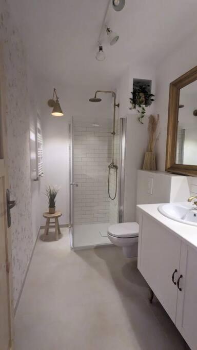 Apartament&Spa Lis&Las Sobotka  Ngoại thất bức ảnh